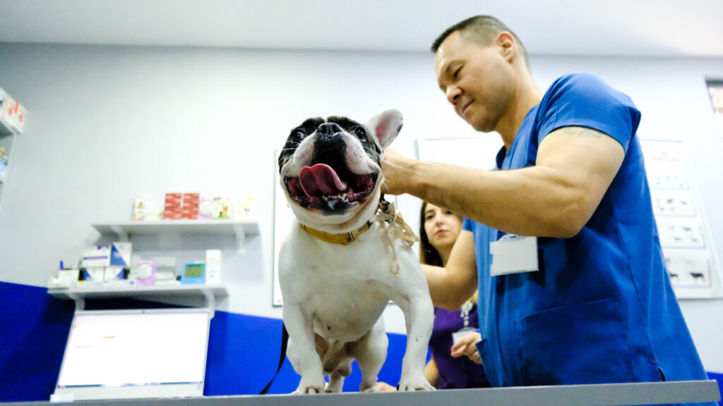 loops shot Metropol Veteriner_-211