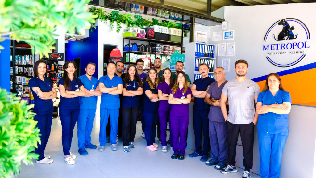 loops shot Metropol Veteriner_-211