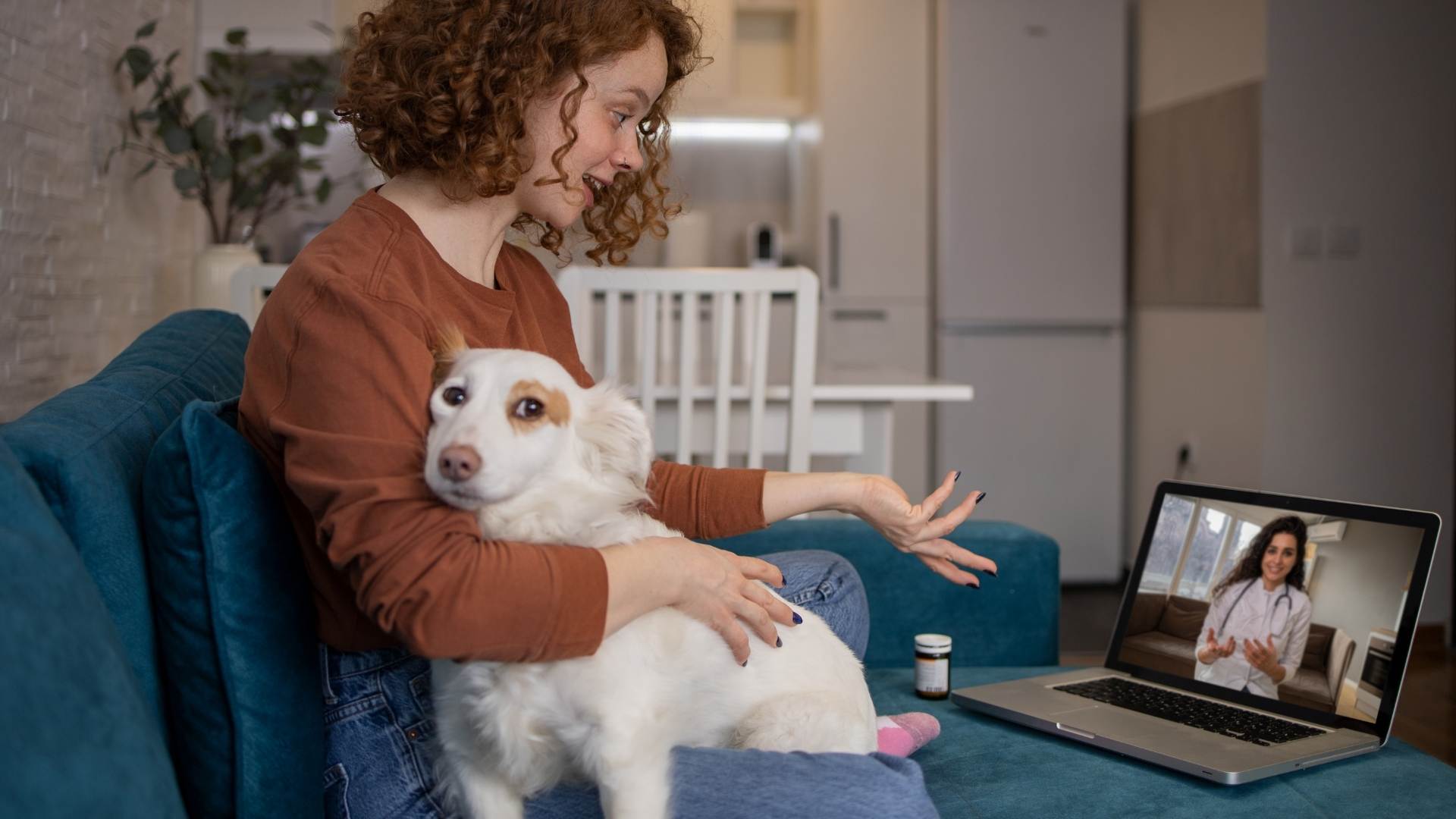 Eve Veteriner Çağırmak: Acil Durumlarda İlk Müdahale Avantajı