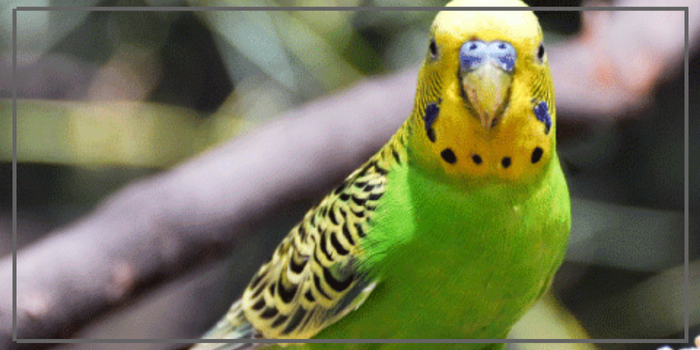 bir başlık ekleyin 2025 11 06t113039.512